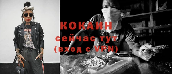 кокс Белокуриха