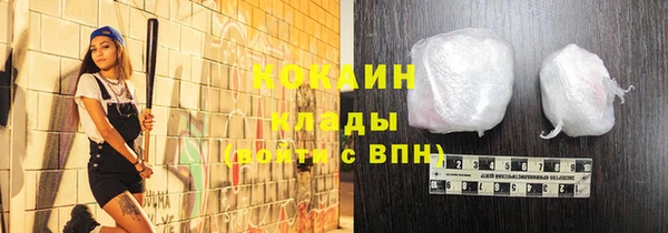 кокс Белокуриха